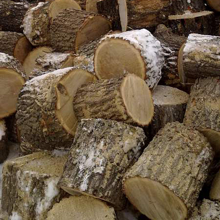 Купить дрова дубовые не колотый в Саратове